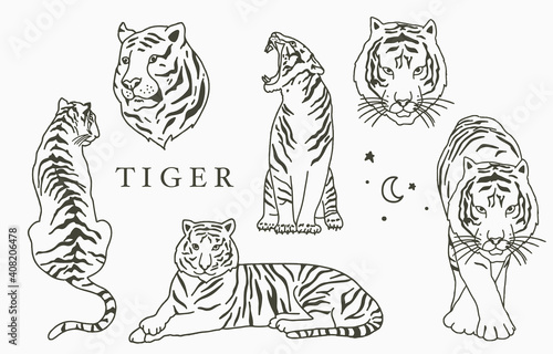Black line object collection with tiger,moon,star