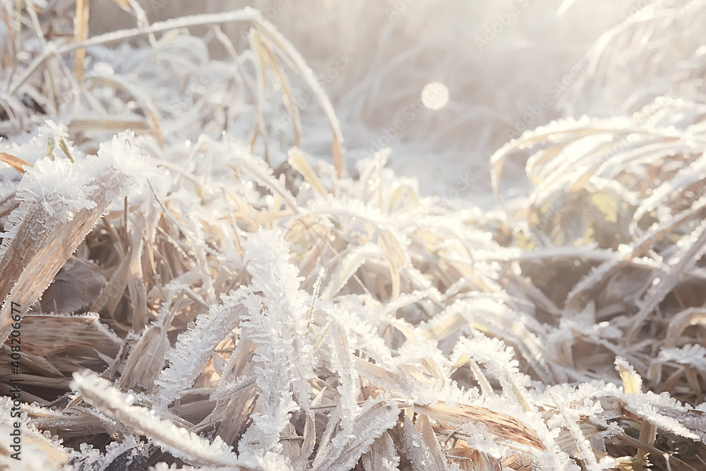 branches covered with hoarfrost background, abstract landscape snow winter nature frost
