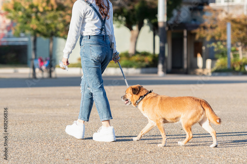 お散歩する犬と若い女性