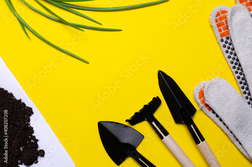 Gardening layout on a yellow background . Gardening gloves and flower shovels. Spring season. Landings in the ground. Copy space.