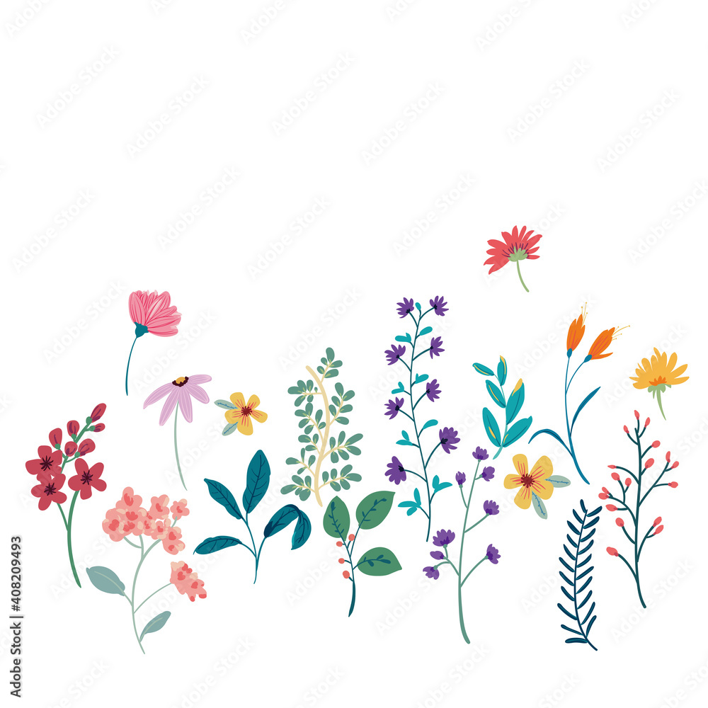 Beautiful vector flowers and leaves
