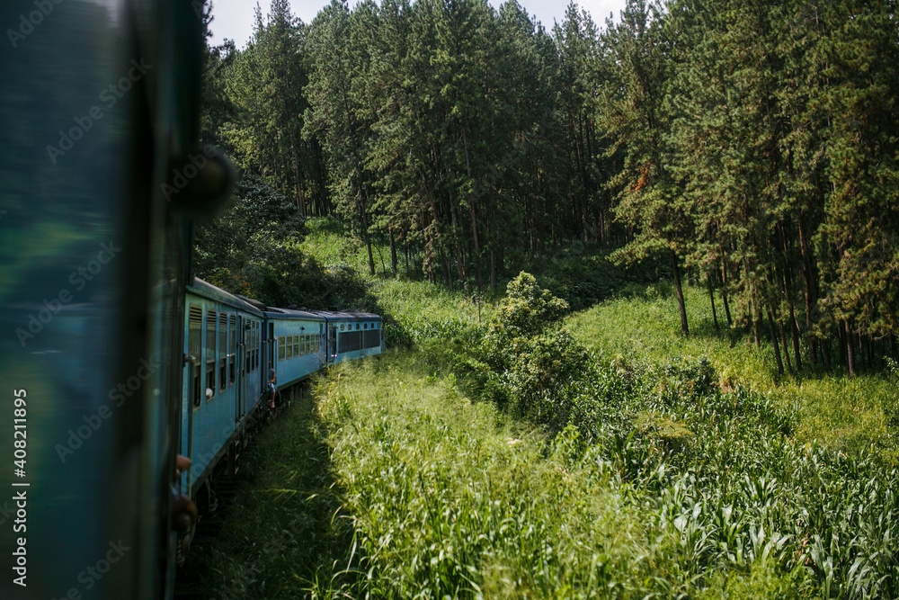 Train in Sri Lanka. Train running through the forest Train in Sri Lanka. Train running through the forest