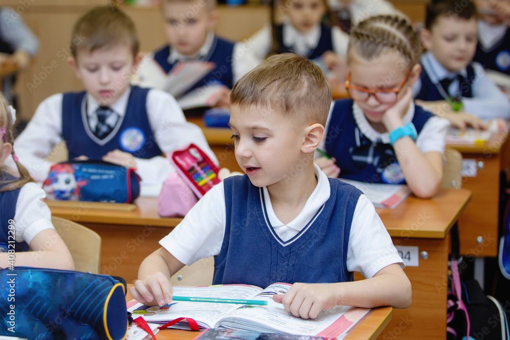 Fototapeta premium Pupils at desks in class on lesson