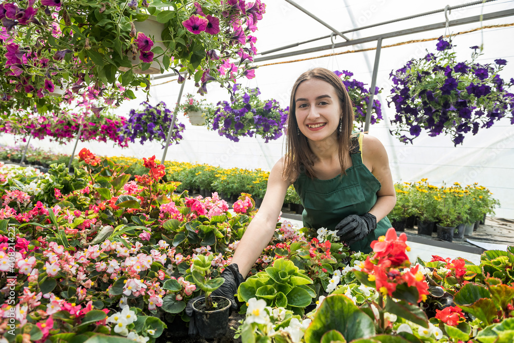 Portrait of a beautiful florist woman posing in a greenhouse with flowers