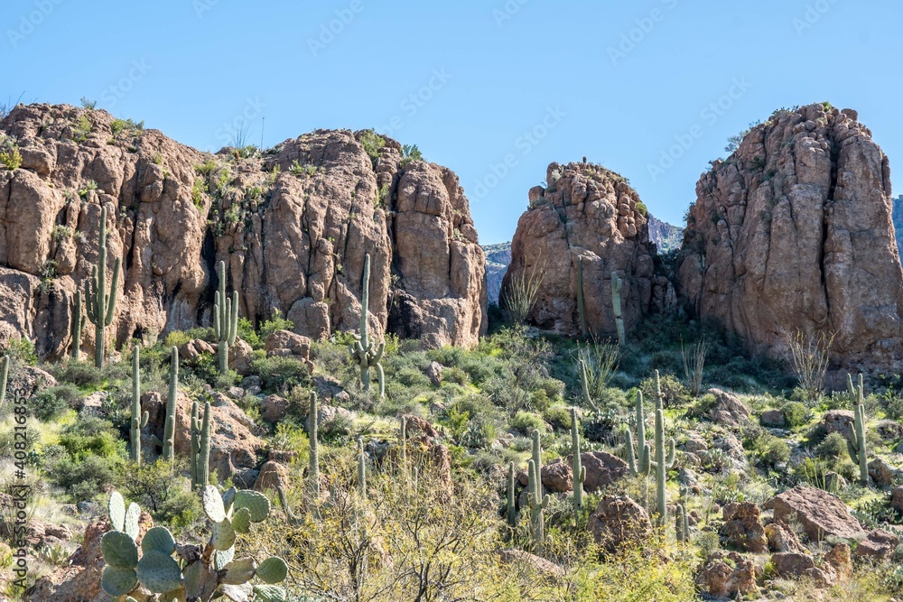 An overlooking view of nature in Boyce Thompson Arboretum SP, Arizona An overlooking view of nature in Boyce Thompson Arboretum SP, Arizona