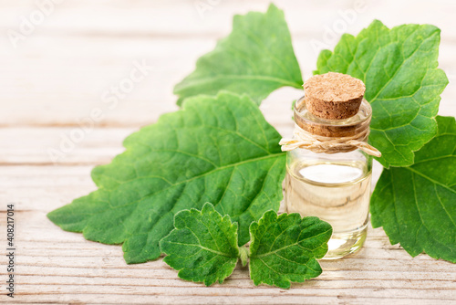 Fotografía patchouli essential oil in the glass bottle, with fresh patchouli leaves, on the wooden board