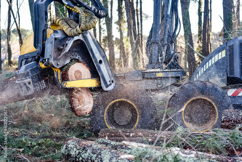 machine for cutting tree trunks used in the forestry industry photo