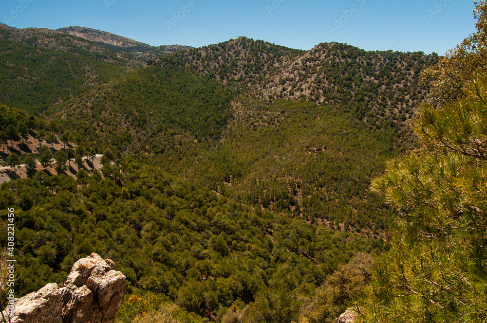 Bonita vista de un bosque de pinos en un valle en la Sierra de Baza (Granada, España).