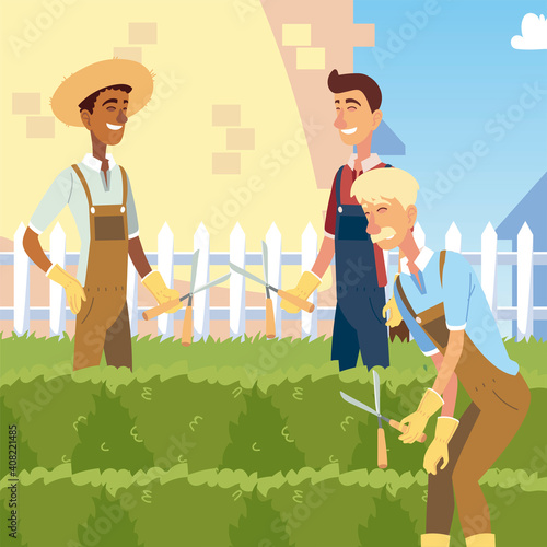 gardening, group of men trimming a bushes with clippers