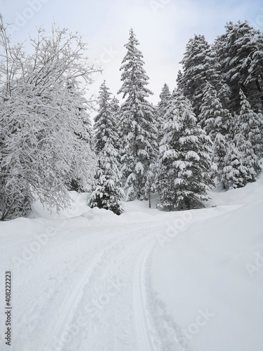 Ski touring in the mountains and forest above Alvaneu in the Swiss Alps