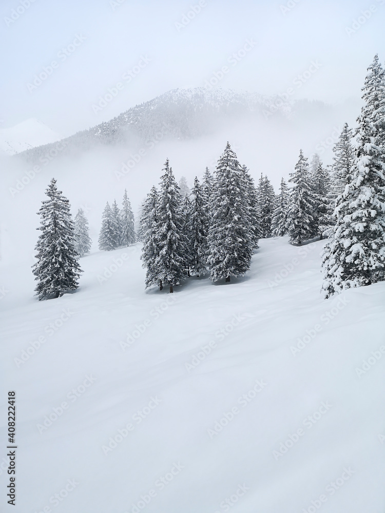 Ski touring in the mountains and forest above Alvaneu in the Swiss Alps