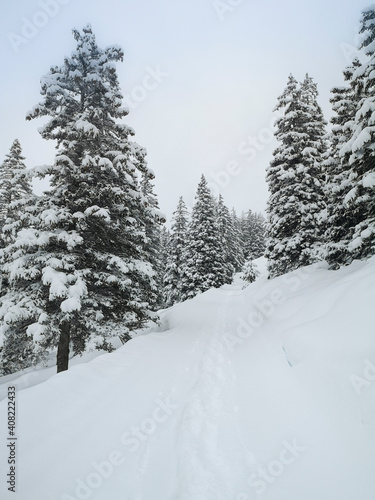 Ski touring in the mountains and forest above Alvaneu in the Swiss Alps