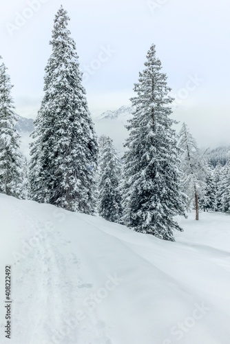 Ski touring in the mountains and forest above Alvaneu in the Swiss Alps