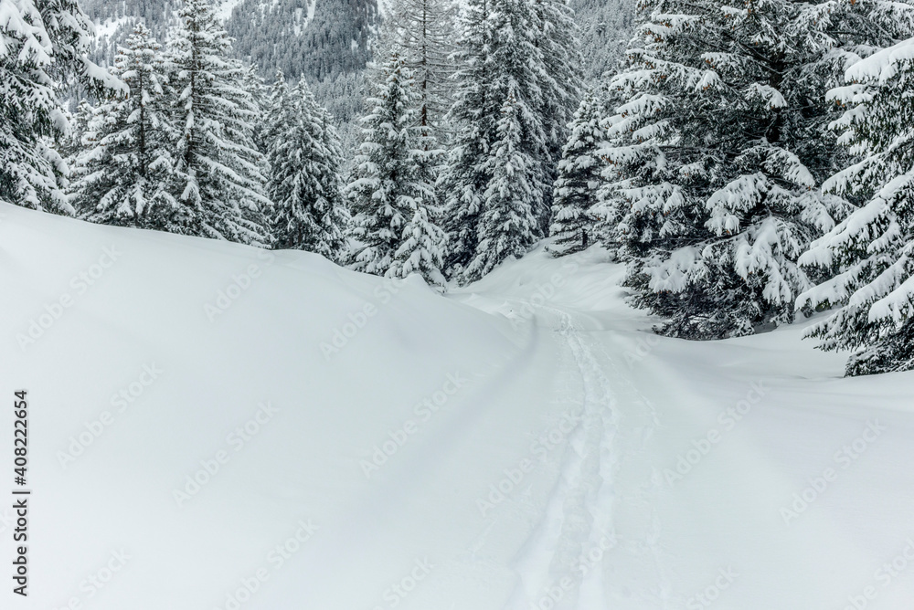 Ski touring in the mountains and forest above Alvaneu in the Swiss Alps Ski touring in the mountains and forest above Alvaneu in the Swiss Alps