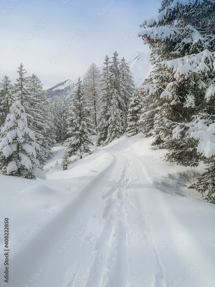 Ski touring in the mountains and forest above Alvaneu in the Swiss Alps Ski touring in the mountains and forest above Alvaneu in the Swiss Alps