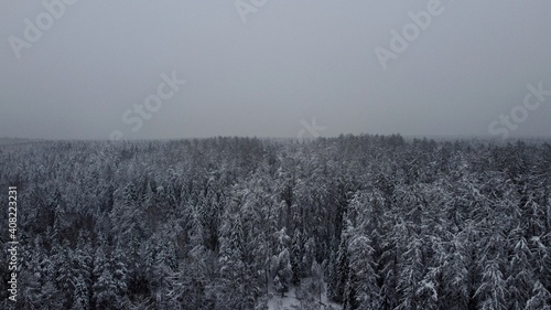 Obraz na plátně View from a height to the snowy forest