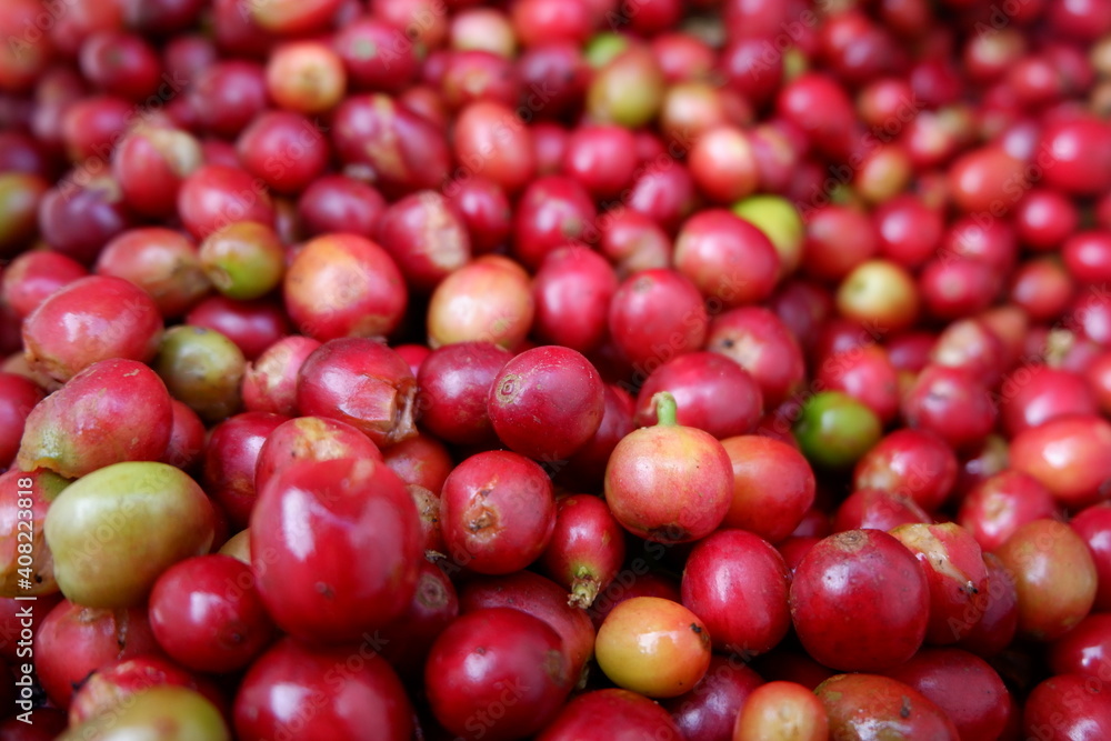 red apples in a market