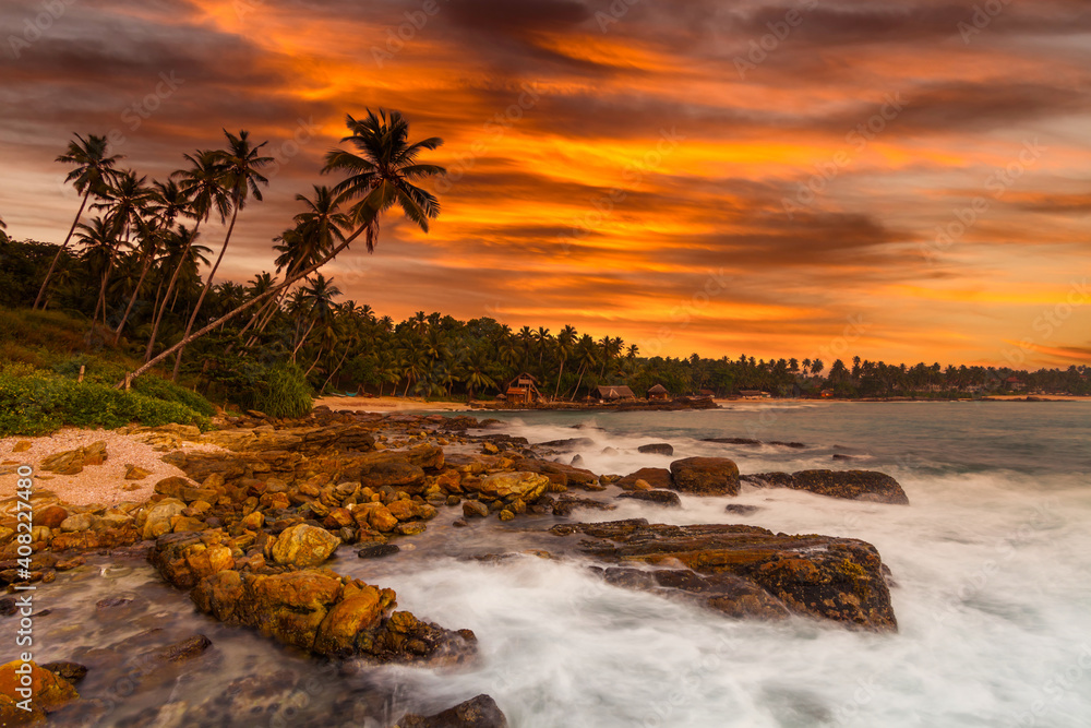 Sunset on the beach with coconut palms. Sri Lanka
