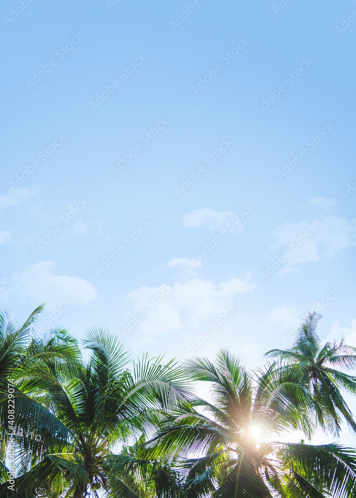 Coconut palm tree with sun light on sky and cloud background.