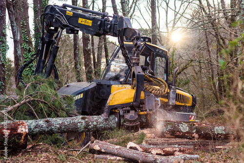 machine for cutting tree trunks used in the forestry industry