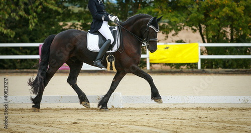 Horse Friesian with rider in step with raised front leg, in a dressage test at a horse show..