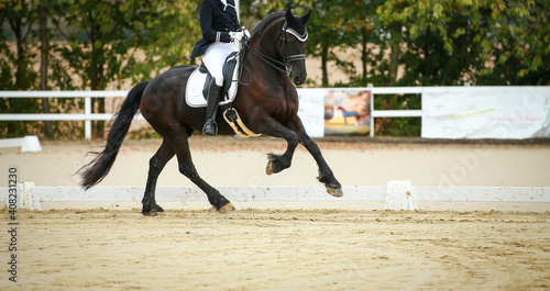 Horse Friesian with rider galloping in a dressage test at a horse show..