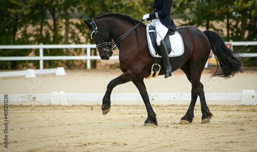 Friesian horse with rider in a turn with stepping front leg, during a dressage test at a horse show..