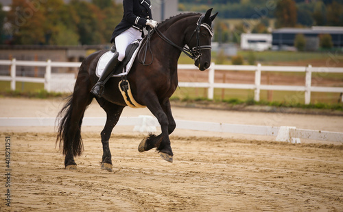 Friesian horse with rider in a gallop pirouette, during a dressage test at a horse show..