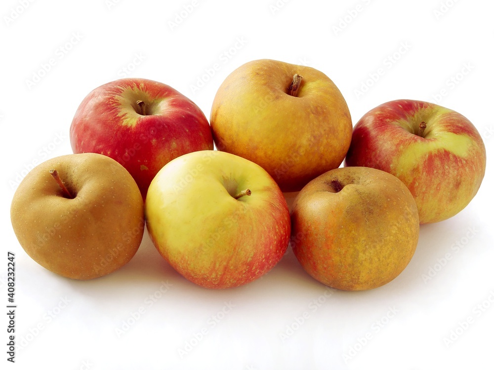 red and yellow sweet apples close up