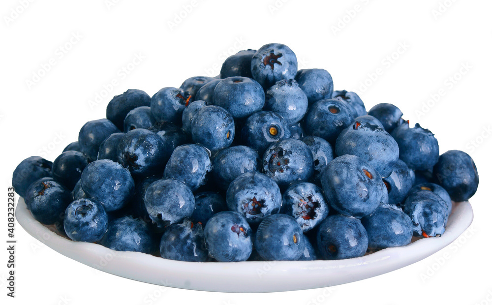 Fresh blueberries in a plate isolated on white background
Fresh blueberries in a plate isolated on white background