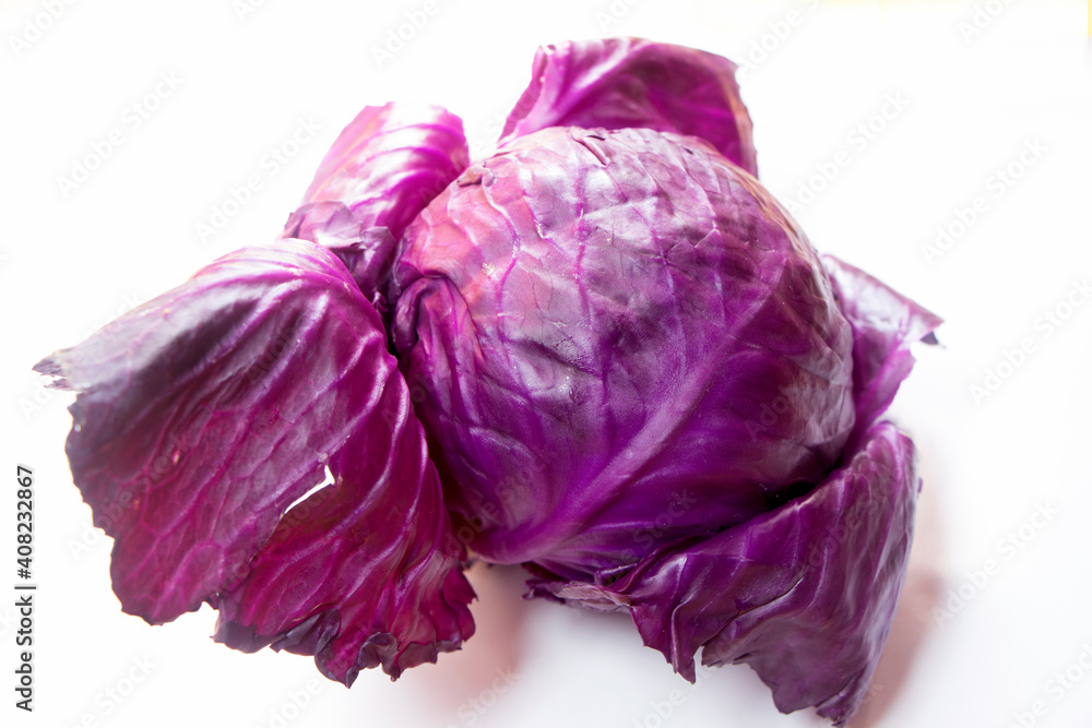 Fresh Raw red cabbage in white background Fresh Raw red cabbage in white background