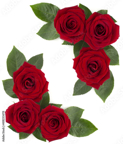 Red rose flowers corner design on white