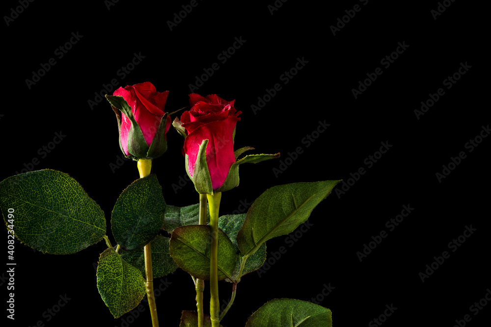 artificial red flower on black background, with green stem.the photograph wants to show the artificial texture of the rose and the stem. artificial red flower on black background, with green stem.the photograph wants to show the artificial texture of the rose and the stem.