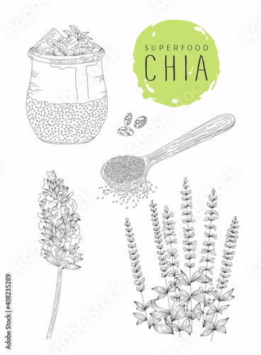 Hand drawn cocktail with chia and mango, plant and seeds. Superfood. Food illustration. Vegetarian.