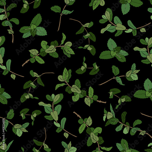 Sprigs of mint. Hand-drawn style. Endless textures for your design.