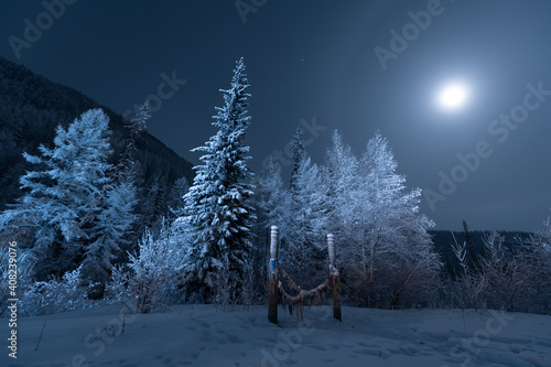 Fotografie Night view of the Yakut landscape with a moonlit halo and wooden pillars - serge for coaxing the spirits for the good luck of travelers