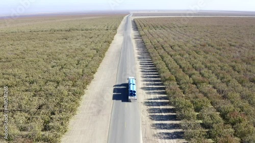 Almond Orchards in the Fall Central Valley California Drone Aerial View