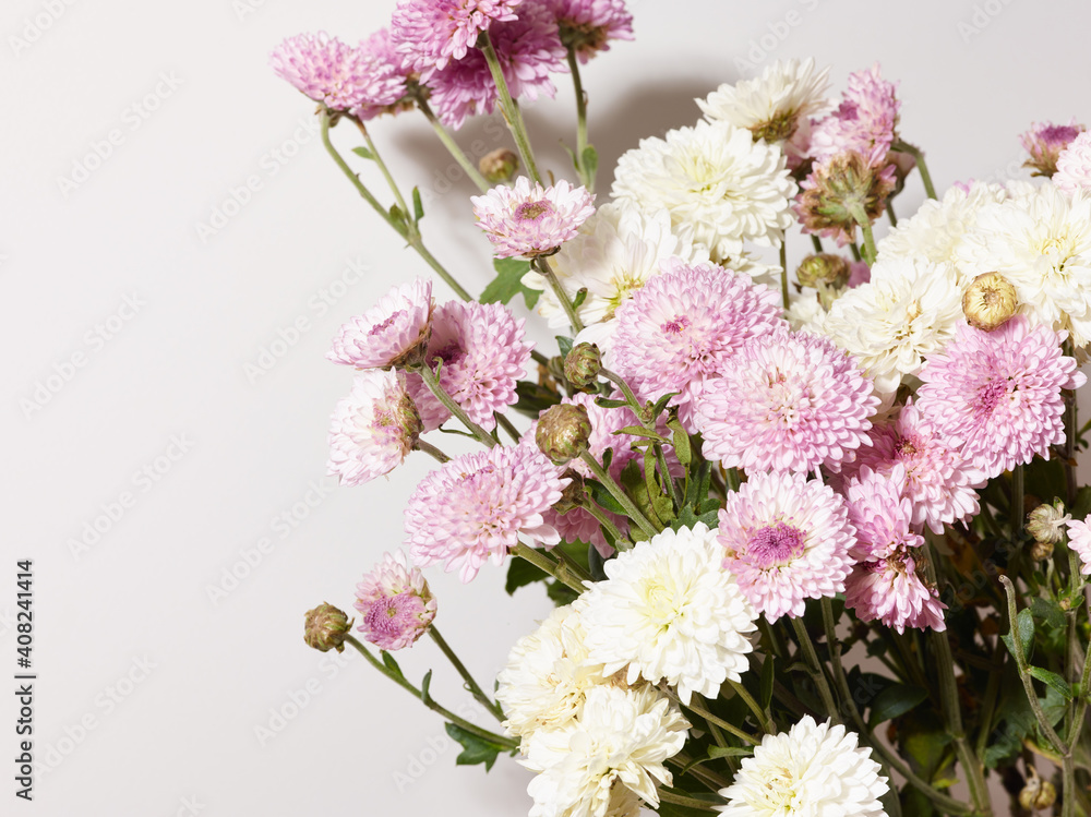Bouquet of chrysanthemum flowers close up over white background