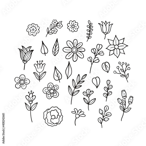 Set of hand drawn flowers and leaves. Vector illustration