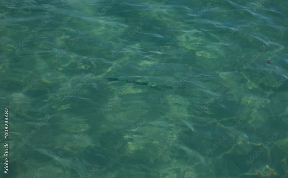 Turquoise colors crystal clear sea water background