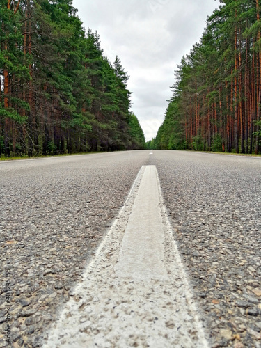 Wallpaper Mural free road in the forest Torontodigital.ca