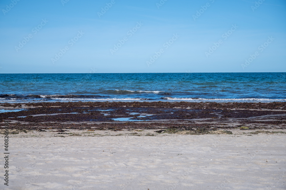 Fototapeta premium algen und seegras leigen am strand der ostsee mit blauem himmel und wasser