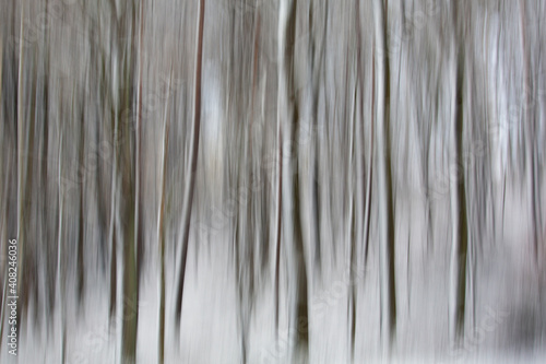 Pictorial snow storm streaks in woods in winter in Germany.