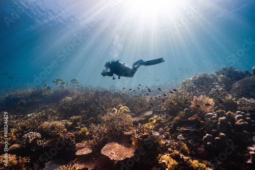 Fotografiet Mesmerizing view of a female scuba diver swimming underwater