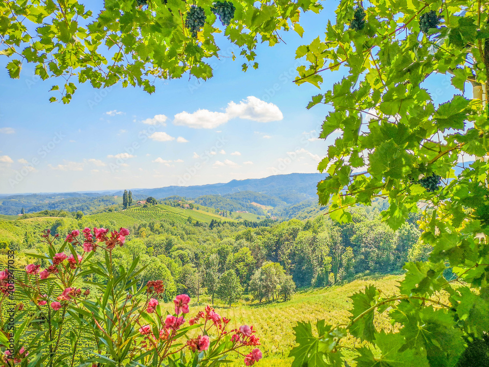 Südsteiermark Panorama