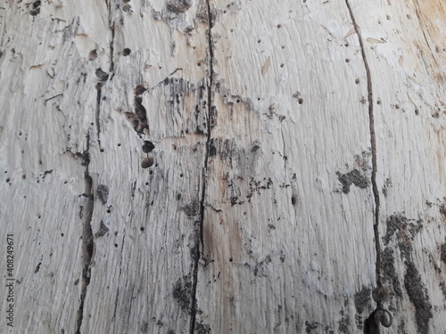 old wood texture