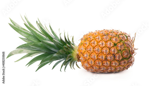 Ripe whole pineapple isolated on the white