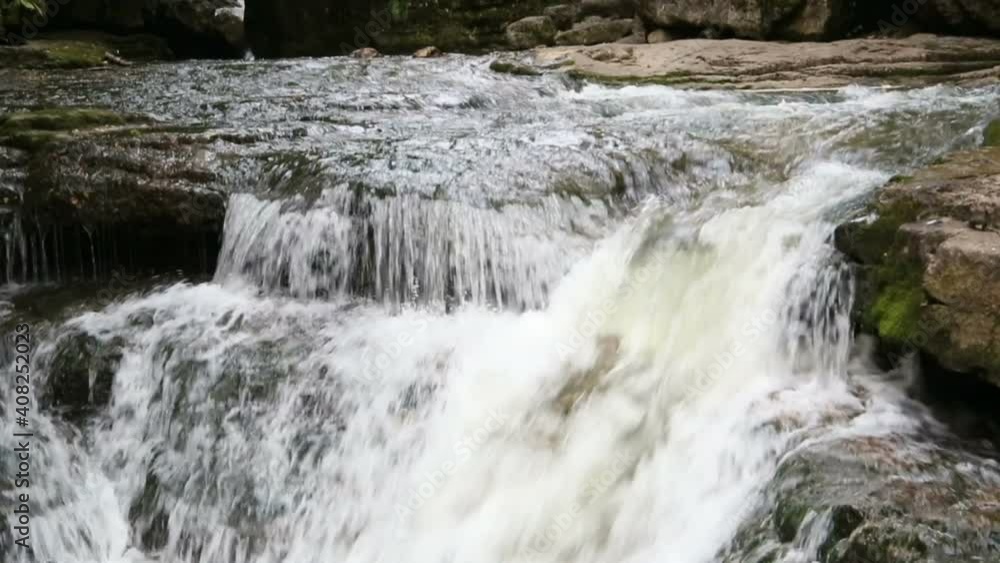 Forest river with beautiful waterfalls. Summer in the forest. Trees over the river. Waterfall cascade The beauty of the wild Forest river with beautiful waterfalls. Summer in the forest. Trees over the river. Waterfall cascade The beauty of the wild
