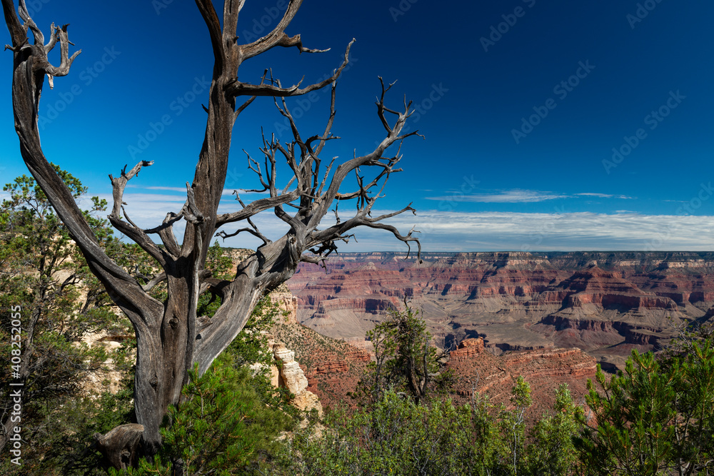 Scenic view of the Grand Canyon, in the Grand Canyon National Park, in the State of Arizona, USA Scenic view of the Grand Canyon, in the Grand Canyon National Park, in the State of Arizona, USA
