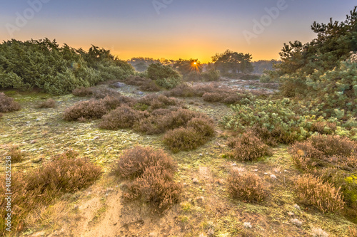 Heathland in hilly terrain on a cold morning